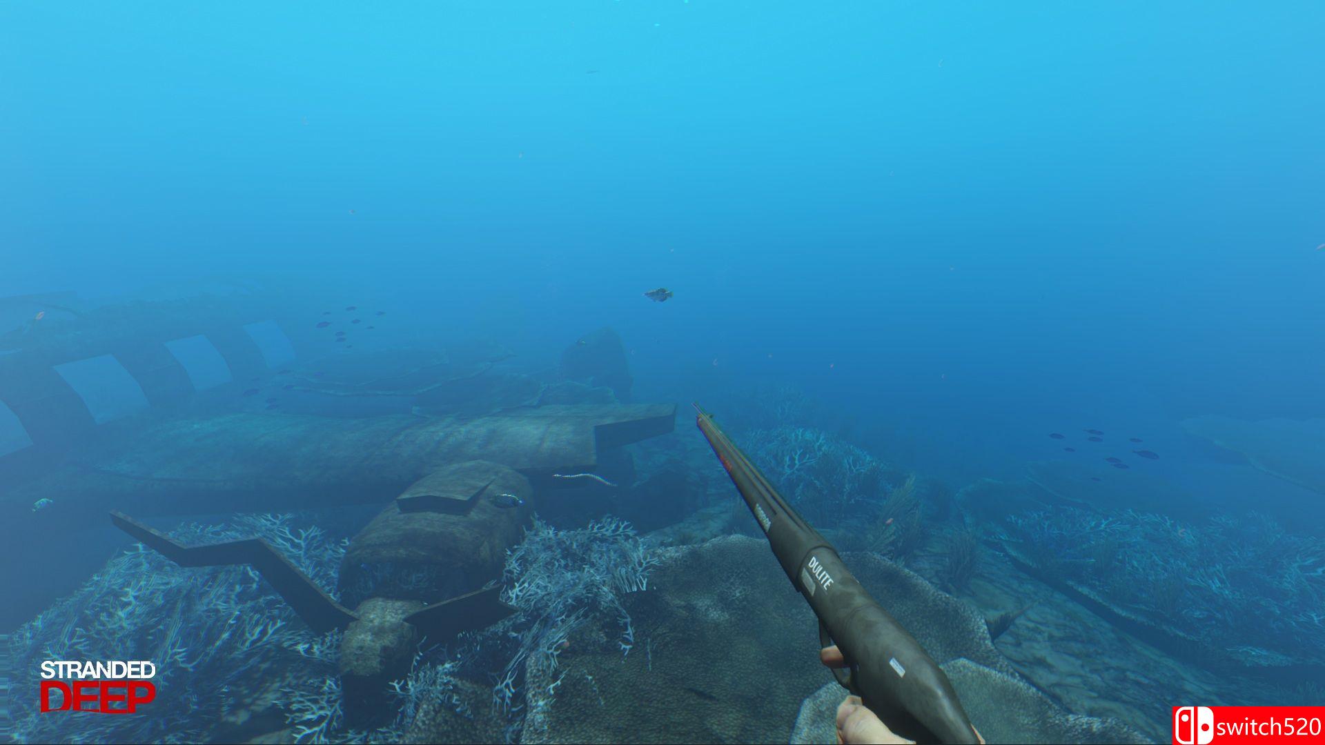 《荒岛求生（Stranded Deep）》TiNYiSO镜像版[EN]_4