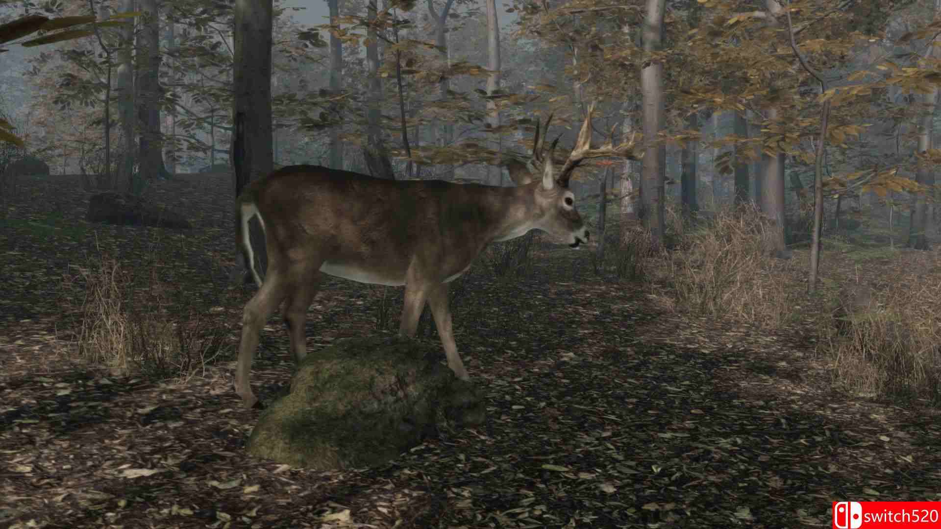 《职业猎鹿人2（Pro Deer Hunting 2）》PLAZA镜像版[EN]_1