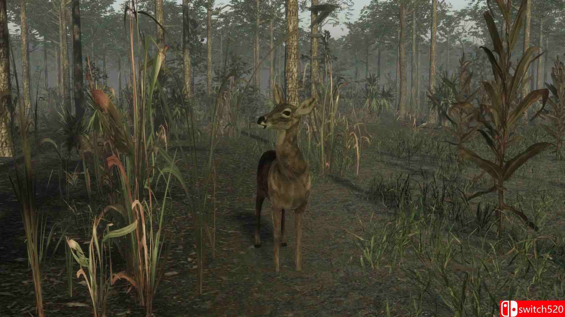 《职业猎鹿人2（Pro Deer Hunting 2）》PLAZA镜像版[EN]_3