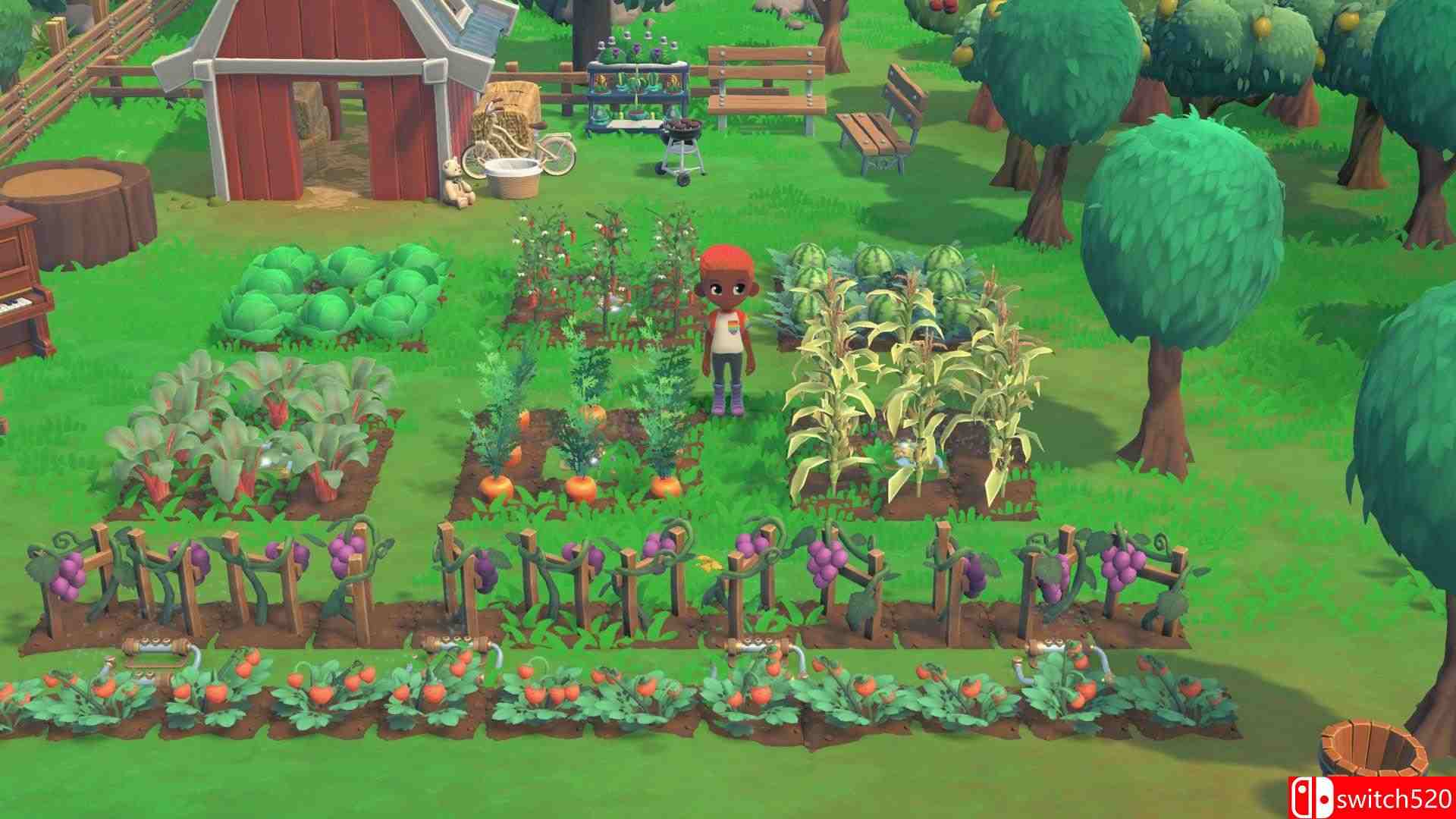 《哈克小镇（Hokko Life Farming）》官方中文 Early Access P2P硬盘版[CN/TW/EN]_3