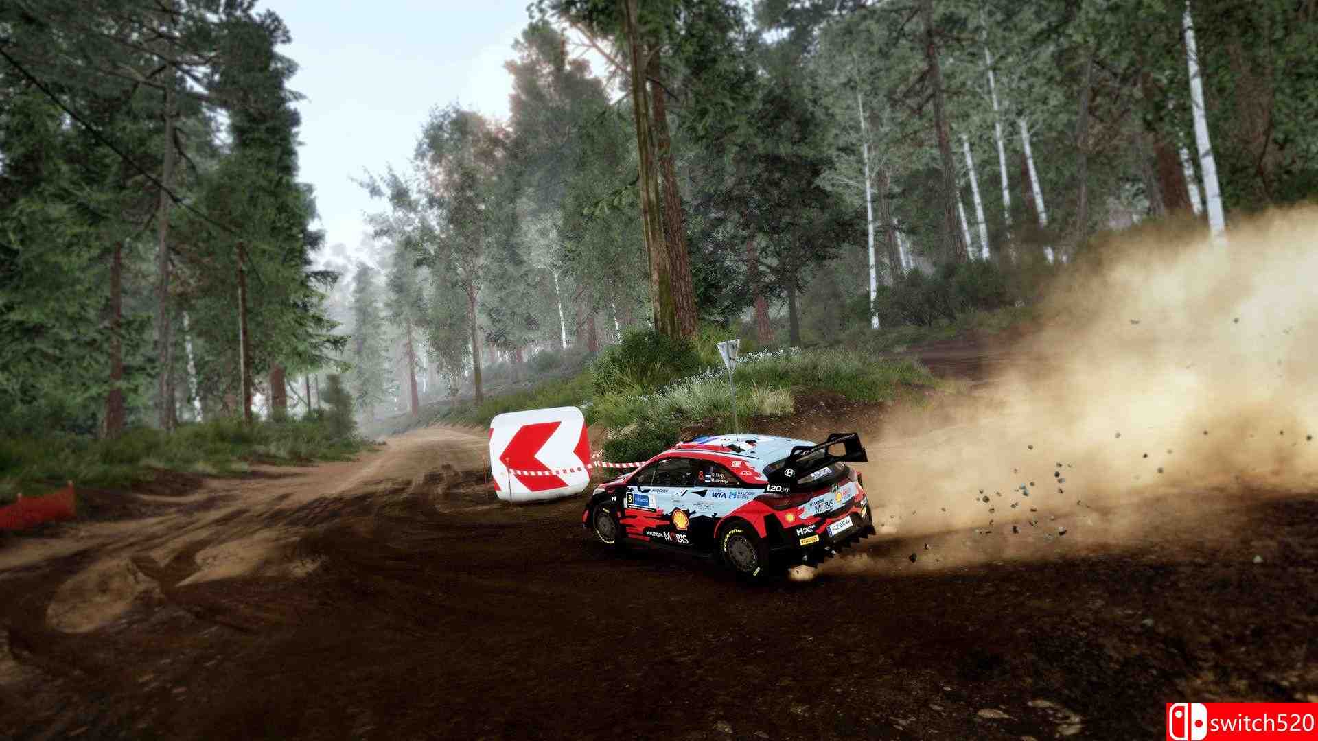 《世界汽车拉力锦标赛10（WRC 10 FIA World Rally）》CODEX镜像版[CN/TW/EN/JP]_5