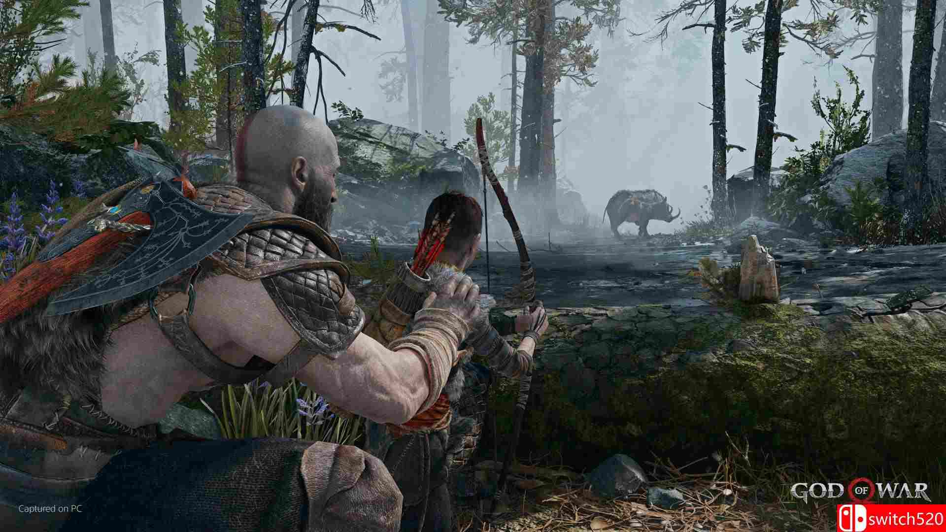 《战神4（God of War）》官方中文 v1.0.12 Razor1911镜像版[CN/TW/EN/JP]_4