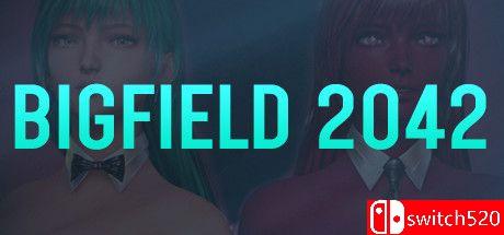 《大地2042（Bigfield 2042）》DARKSiDERS镜像版[EN]_0