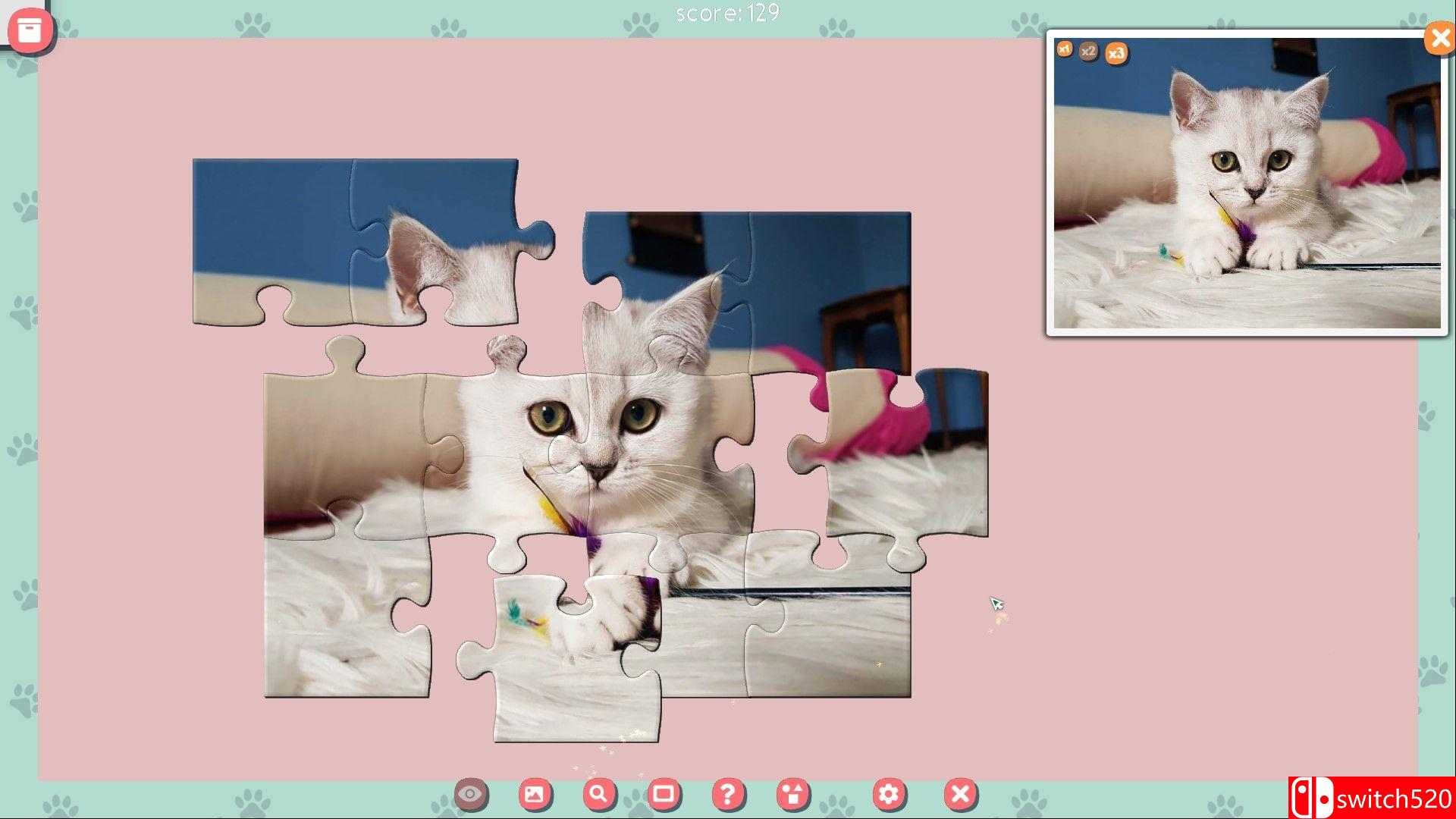 《1001拼图：可爱的猫2（1001 Jigsaw. Cute Cats 2）》RAZOR硬盘版[EN]_3