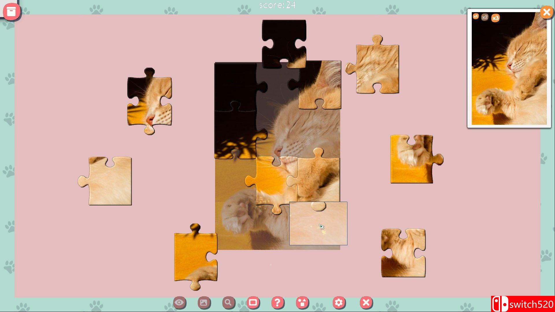 《1001拼图：可爱的猫2（1001 Jigsaw. Cute Cats 2）》RAZOR硬盘版[EN]_5