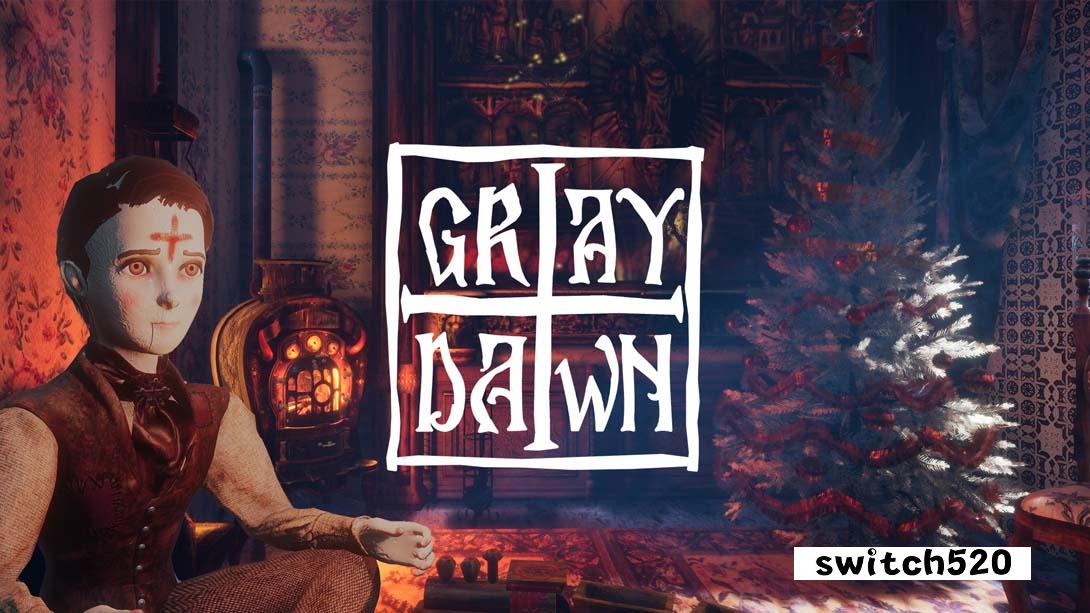 【美版】灰色黎明 .Gray Dawn 英语_0