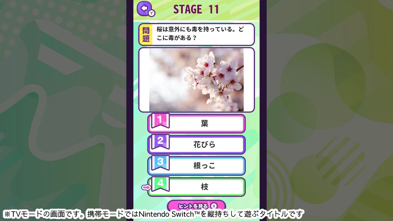 Knowledge Quiz Various Plants-Trivia Trivia Learning Game ものしりクイズ　いろいろ植物 日语_4