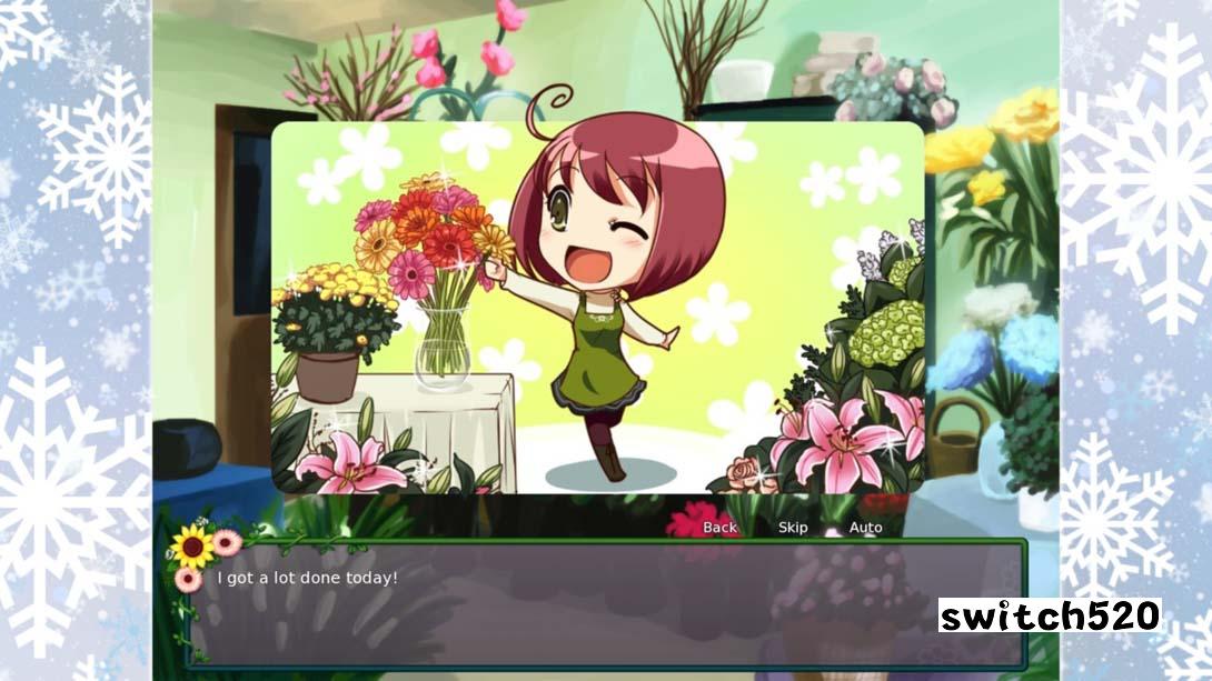 【美版】恋爱花店:费尔布鲁克之冬 .Flower Shop: Winter In Fairbrook 英语_5