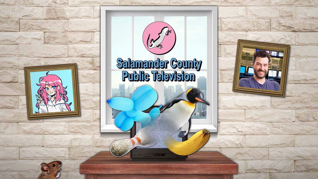 【美版】Salamander County Public Television 英语_0