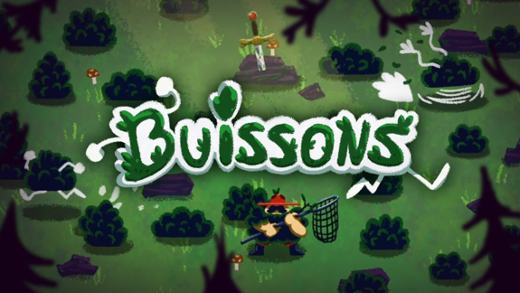 灌木丛  Buissons