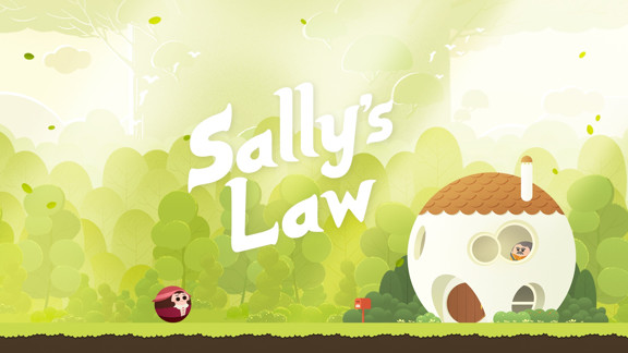 莎莉定律  Sally’s Law