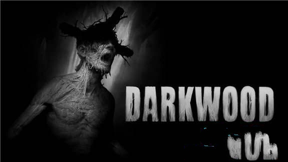 阴暗森林  Darkwood