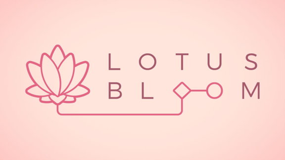 莲花绽放 Lotus Bloom