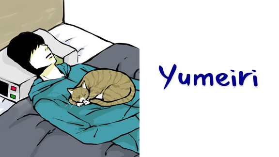 入梦  Yumeiri