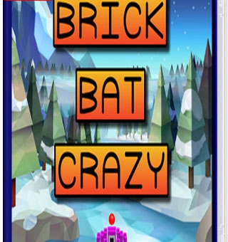 疯狂砖蝙蝠  Brick Bat Crazy