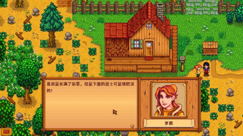 星露谷物语 Stardew Valley_4