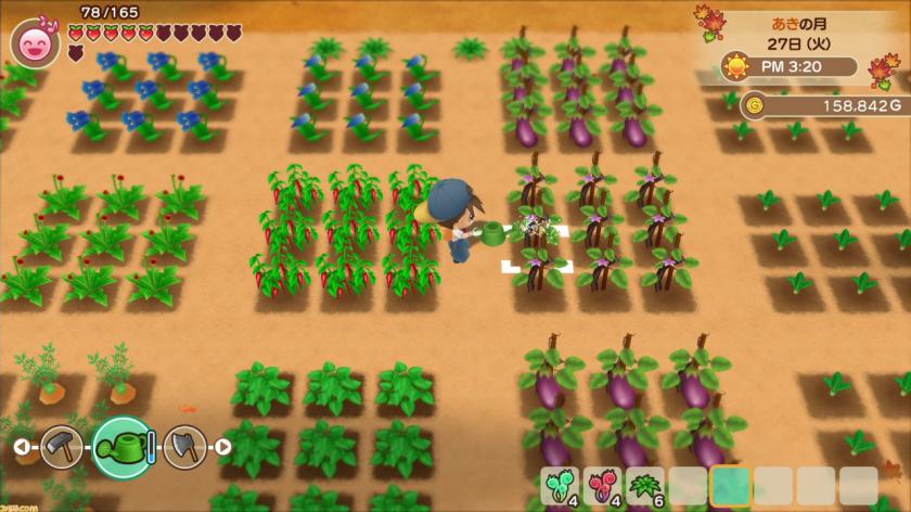 牧场物语：重聚矿石镇 Story of Seasons: Reunion in Mineral Town_0