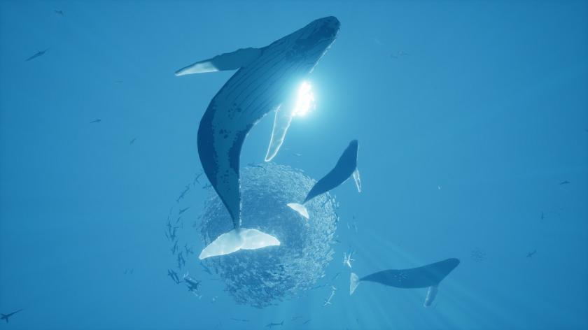 智慧之海 ABZU_2