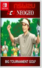 ACA NEOGEO 高尔夫大师 ACA NEOGEO NEO TURF MASTERS